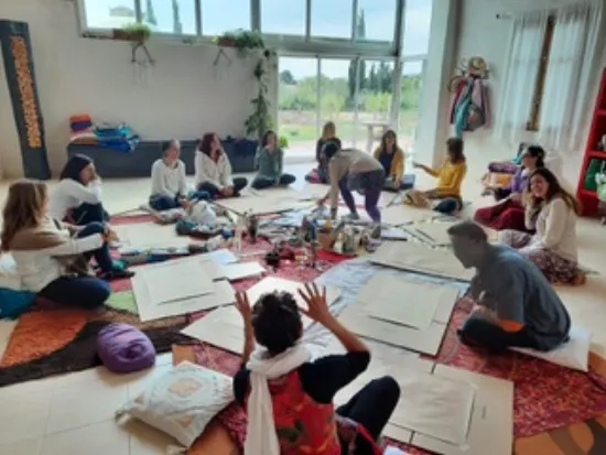 Group workshop activity at Biovives